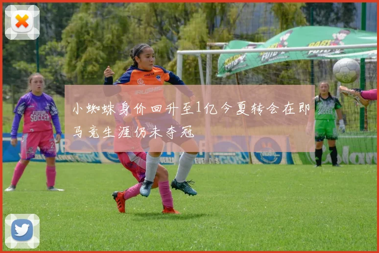 小蜘蛛身价回升至1亿今夏转会在即马竞生涯仍未夺冠