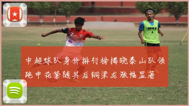 中超球队身价排行榜揭晓泰山队领跑申花紧随其后铜梁龙涨幅显著