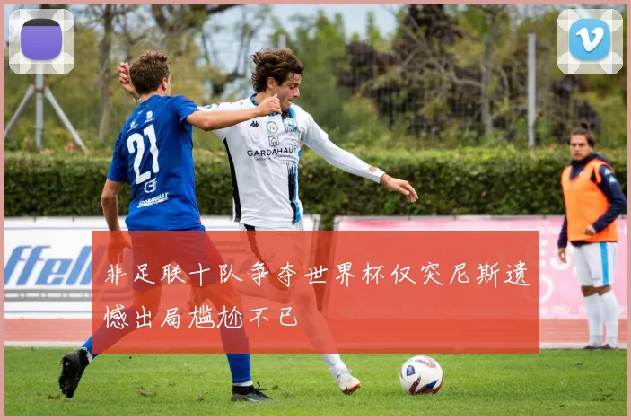 非足联十队争夺世界杯仅突尼斯遗憾出局尴尬不已